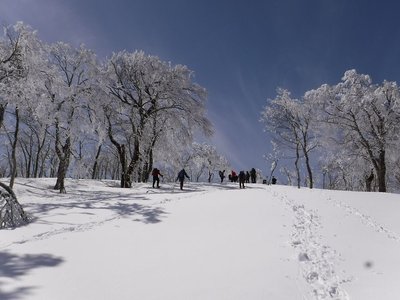 先週のスノー衆の余った写真です。
