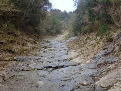 P4050043.jpg (159.39 KiB) 閲覧された回数 7779 回 ナメは続く