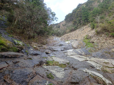 P4050051.jpg (165.71 KiB) 閲覧された回数 7779 回 まだまだナメ