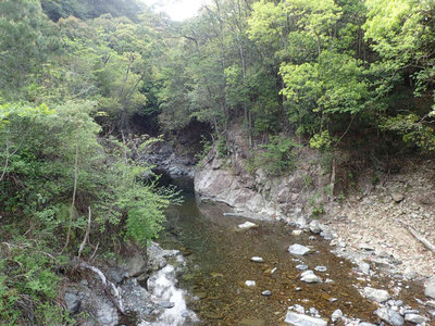 癒し系の瀬場谷出合