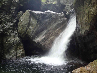 P5030049.jpg (68.53 KiB) 閲覧された回数 5567 回 五所ヶ滝下