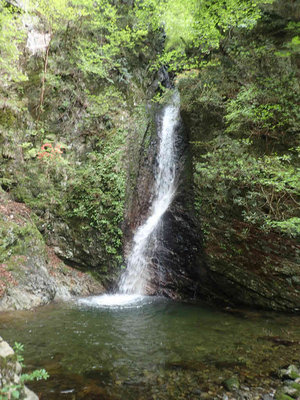 P5030066.jpg (98.13 KiB) 閲覧された回数 5565 回 石谷滝15m