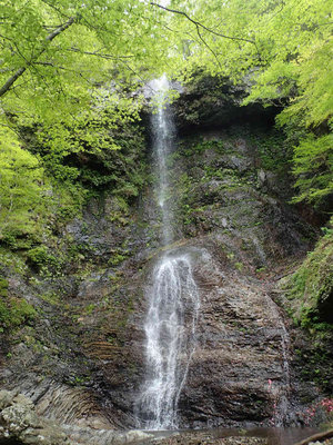 P5030078.jpg (141.52 KiB) 閲覧された回数 5560 回 白倉滝35m