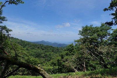 トンガリが青葉山か