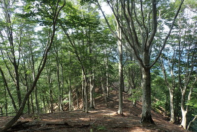 思わぬ美しい尾根が続いた