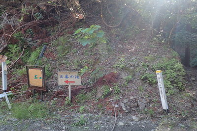 尾根末端の様子