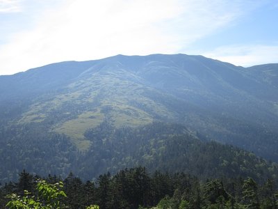 北ノ俣岳の全貌（霞んでるのが残念）