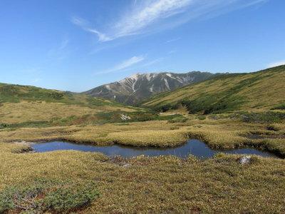 赤木平からの薬師岳