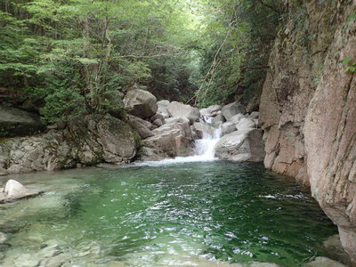 美しいエメラルドグリーンの淵