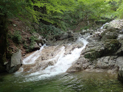 P8280039.jpg (102.57 KiB) 閲覧された回数 4403 回 赤坂谷のハイライト