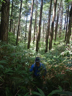 2018-08-26 11.26.11.jpg