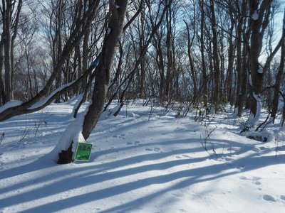 P1048827s.jpg (1.42 MiB) 閲覧された回数 3623 回 大黒山山頂