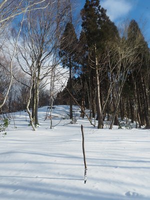 鉄塔広場の手前には木の杖
