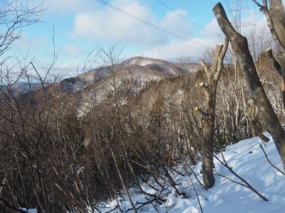P1048844s.jpg (1.65 MiB) 閲覧された回数 3621 回 鯉谷の北斜面より大黒山を振り返る