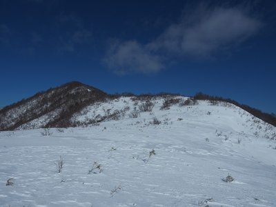 P1138664ss.jpg (125.72 KiB) 閲覧された回数 5075 回 上谷山への稜線