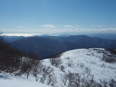上谷山への登りから稜線上のわしたかさんを