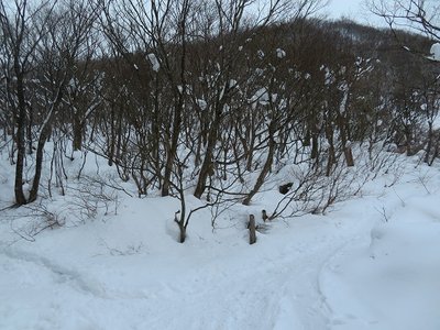 夏の登山口　中央やや下で半分以上埋もれています