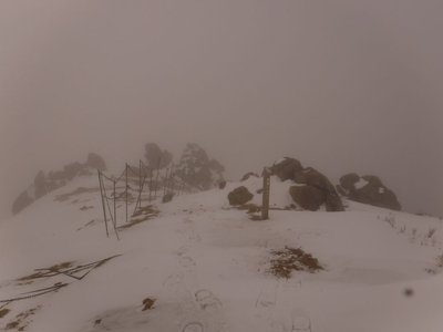 ガスの明王ノ禿