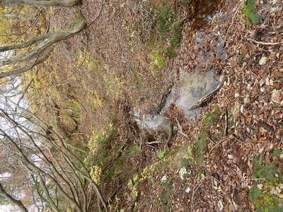 県境ライン上に現れる小谷