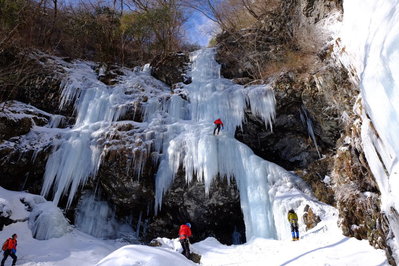 小振りのシェイクスピアでした。