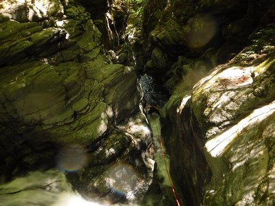 グー介助後、撤収。