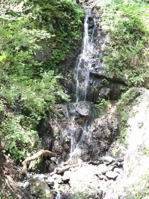 多志田谷源頭の滝