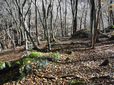 DSCF2534.JPG (457.92 KiB) 閲覧された回数 13873 回 蓮第4工場の飯場