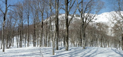 6年前のP1491付近