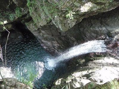 斜めの木に寄りかかって・その1