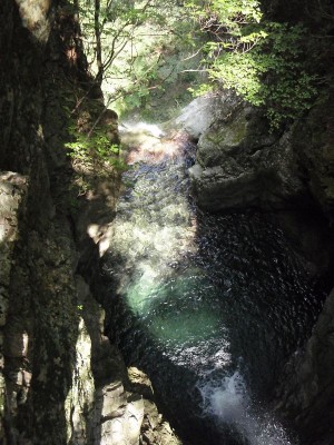 斜めの木に寄りかかって・その2