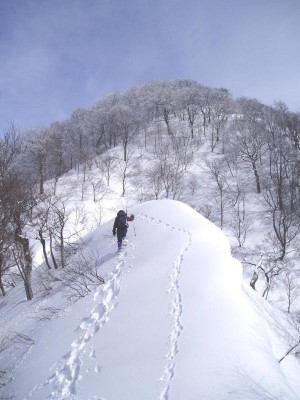 年賀状にもなった積雪期のP1144手前の尾根