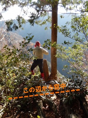 まさかの空中桟敷！！