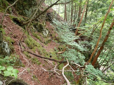 赤嵓滝上の左岸道