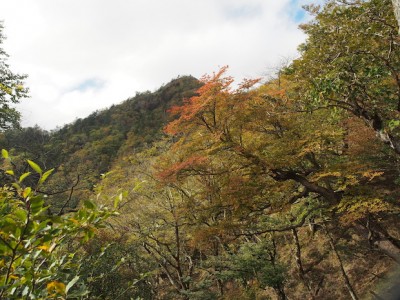 シロヤシオの紅葉と稜線