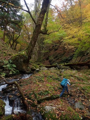 谷の紅葉.jpg (277.45 KiB) 閲覧された回数 5710 回 タイミング的にはばっちりかなと