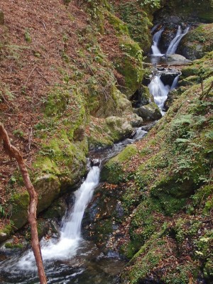 滝.jpg (263.63 KiB) 閲覧された回数 5710 回 シューさんまねてスローシャッタートライ(もう少し勉強します)