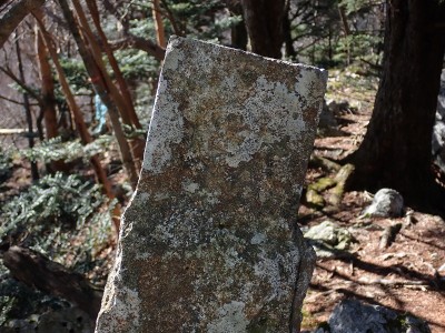 御料林標柱
