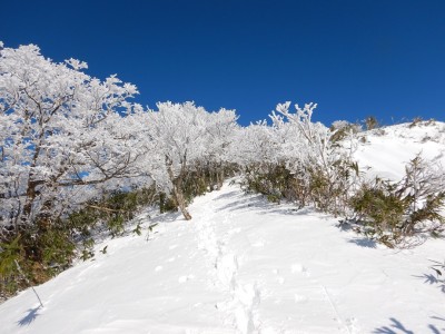 霧氷のトンネル