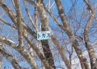 2021年2月11日トガスにて