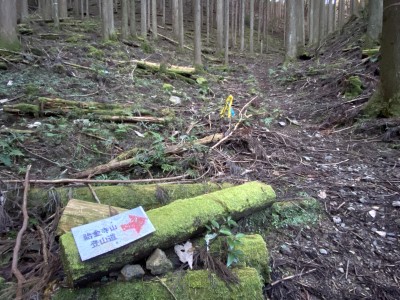 このプレートがある分岐の奥に天狗杉がある