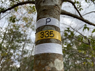 P335にマーキング