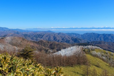 南アルプス　横川山から