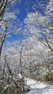 2020年2月せいなの森キャンプ場より