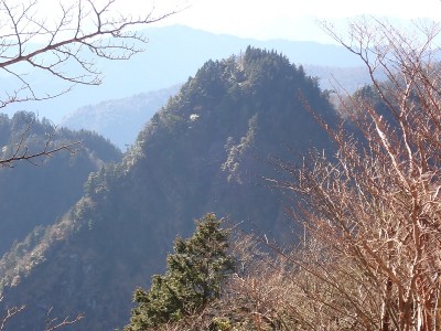奥八町滝からの坊主
