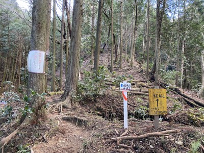 雲母コース入口（東尾根への取付）