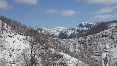 枇杷倉山や白山も視野に