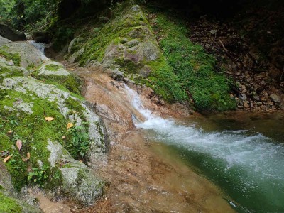 美しいエメラルドグリーンの淵と滝
