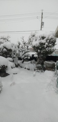 四日市の大雪.jpg