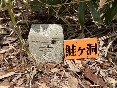 鮭ヶ洞の三角点が露出していました