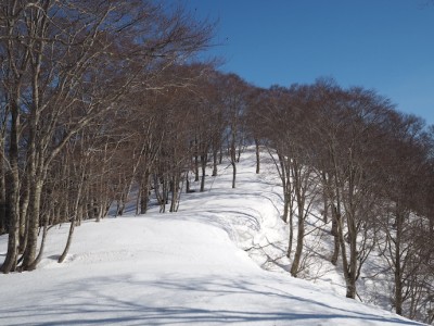 鳥越山へ.JPG